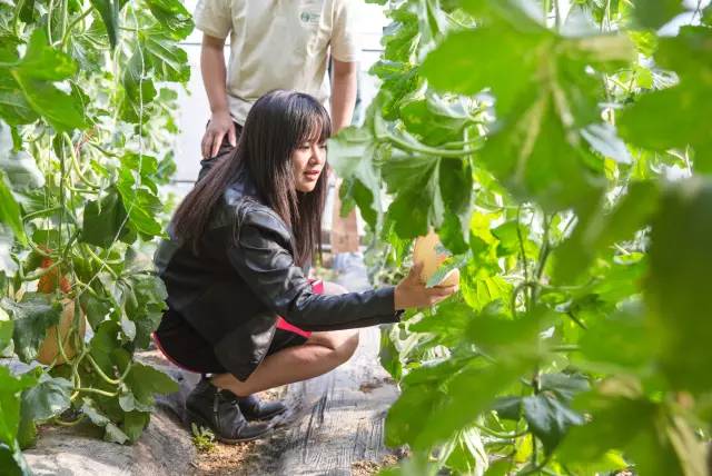 c7c7娱涝旖台官网入口(中国)官方网站