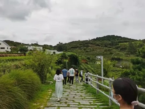c7c7娱涝旖台官网入口(中国)官方网站